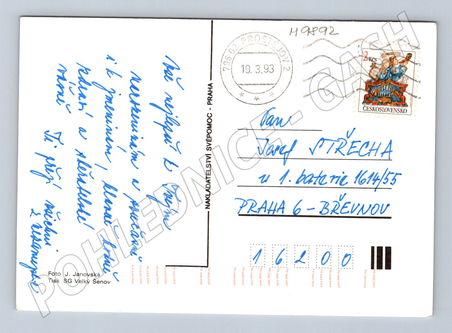 Postcard rose with heartfelt wishes 1993 (M9892)