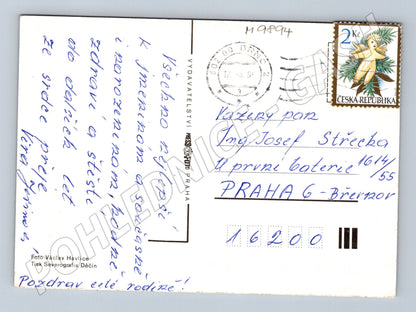 Pohlednice žlutá růže ČR odesláno 2000 (M9894)