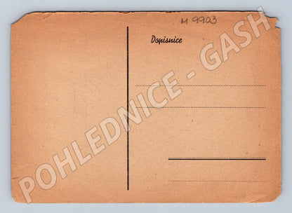 Ethnographic postcard of lovers' farewell (M9903)