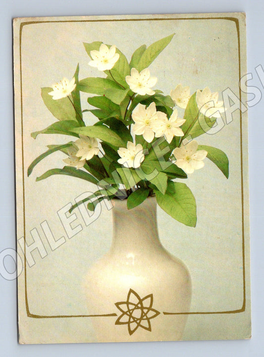 Pohlednice květinový motiv ČR 1991 (M9905)