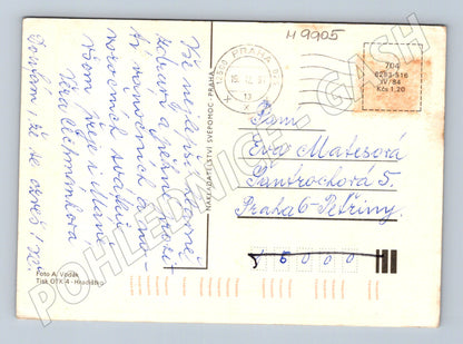 Pohlednice květinový motiv ČR 1991 (M9905)