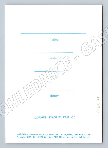 Pohlednice narození dítěte Zdraví šťastní rodiče (M9914)