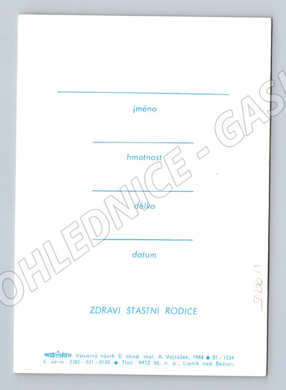 Pohlednice oznámení narození dítěte A Vojáček (M9915)