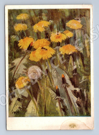 Postcard J Mezerová Dandelions postmarked (M9916)