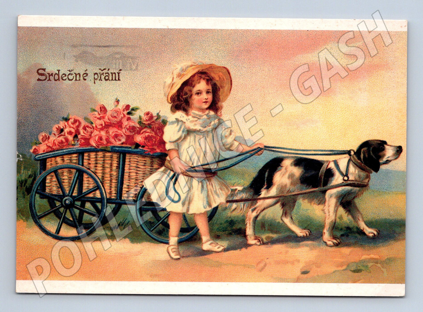 Postcard girl with dog and cart of roses, used (M9917)