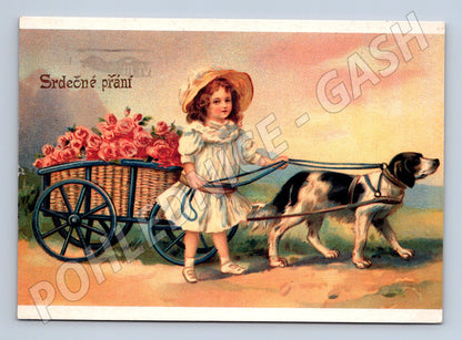 Postcard girl with dog and cart of roses, used (M9917)
