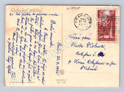 Pohlednice 1949 květiny kolorovaná L Hinzeová (M9918)