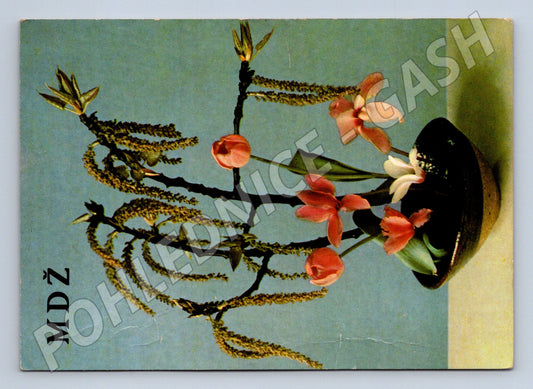 Pohlednice MDŽ květinové aranžmá přání ženám (M9919)