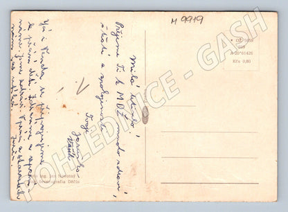 International Women's Day postcard, flower arrangement, wishes for women (M9919)