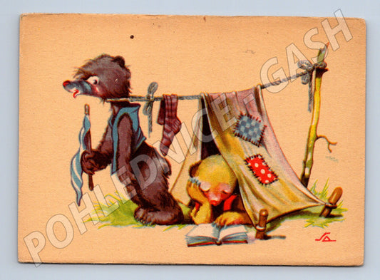 Veselá pohlednice medvěd opička stan zvířata (M9921)