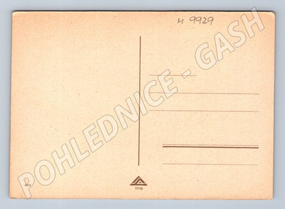 Postcard hare and bear cartoon animals (M9929)