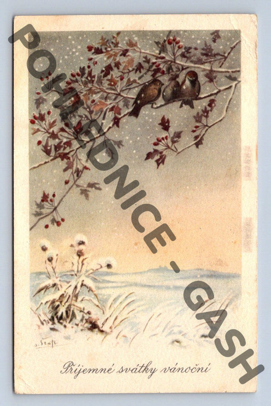 Pohlednice Vánoční ptáčci na větvi (M995)