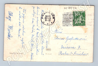 Heartfelt greetings postcard Czechoslovakia 1952 flowers (M9977)