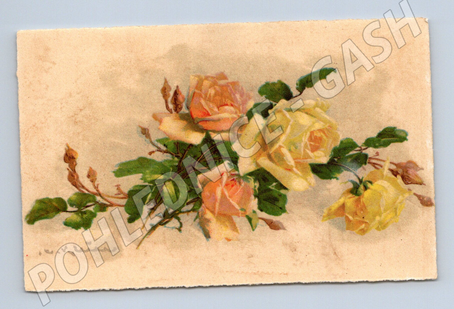Antique postcard rose floral motif (M9980)