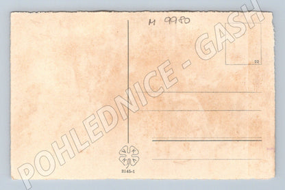 Antique postcard rose floral motif (M9980)