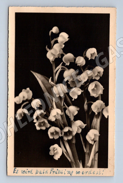 Postcard flower lily of the valley photo Germany (M9985)