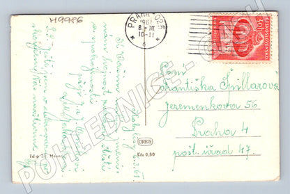 Postcard Heartfelt Wishes of Daisies 1951 (M9986)