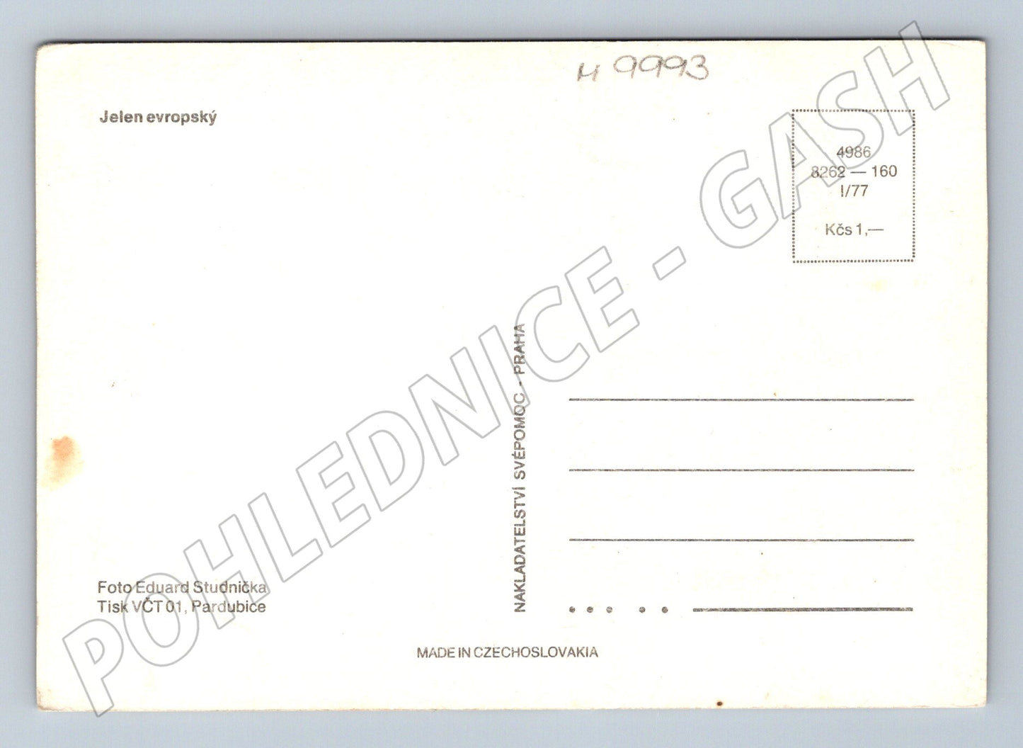 Pohlednice Jelen evropský lesní motiv 1977 (M9993)