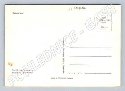 Pohlednice Jelen s laní Československo neprošlá (M9994)