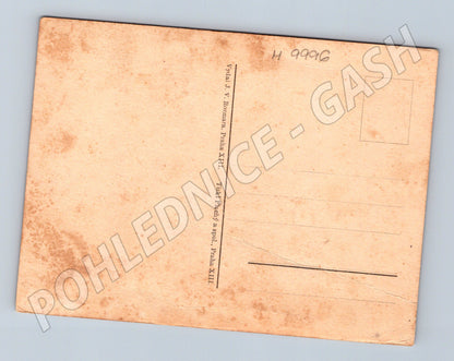 Pohlednice Lesu a lovu zdar myslivec pes erotika (M9996)