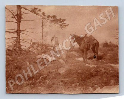 Pohlednice koně v přírodě ležící voják LEONAR (P1065)