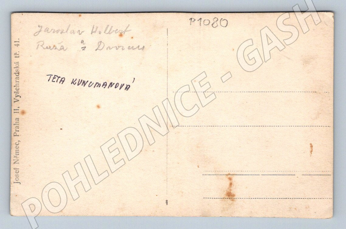 Pohlednice dvojice v kroji etnografie voják (P1080)