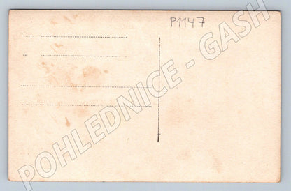 Pohlednice vojáci v uniformě (P1147)