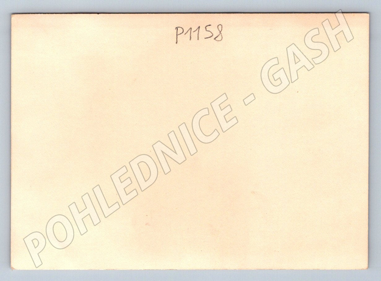 Pohlednice portrét muže v uniformě s vyznamenáními (P1158)