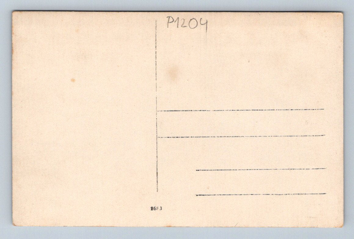Pohlednice venkovská krajina plot muži etnografie (P1204)