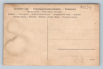 Pohlednice Rakousko Uhersko vojáci v uniformách (P1234)