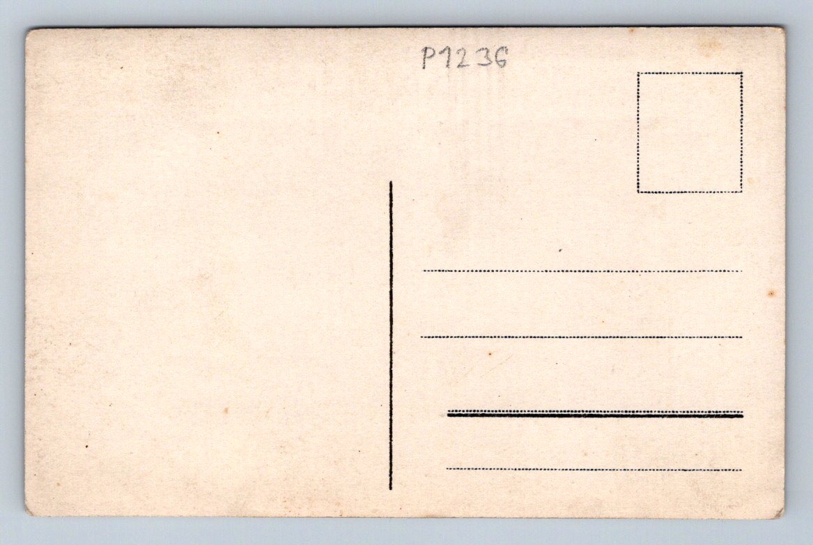 Pohlednice ČR vojáci v uniformách (P1236)