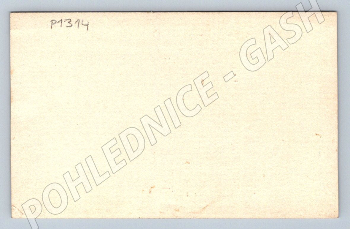 Pohlednice SSSR alpinismus novoroční přání hory 1959 (P1314)