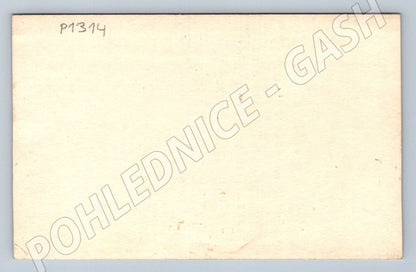 Pohlednice SSSR alpinismus novoroční přání hory 1959 (P1314)