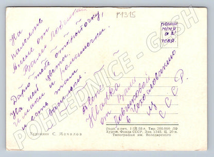 Pohlednice SSSR malovaná květiny S Močalov 1958 (P1315)