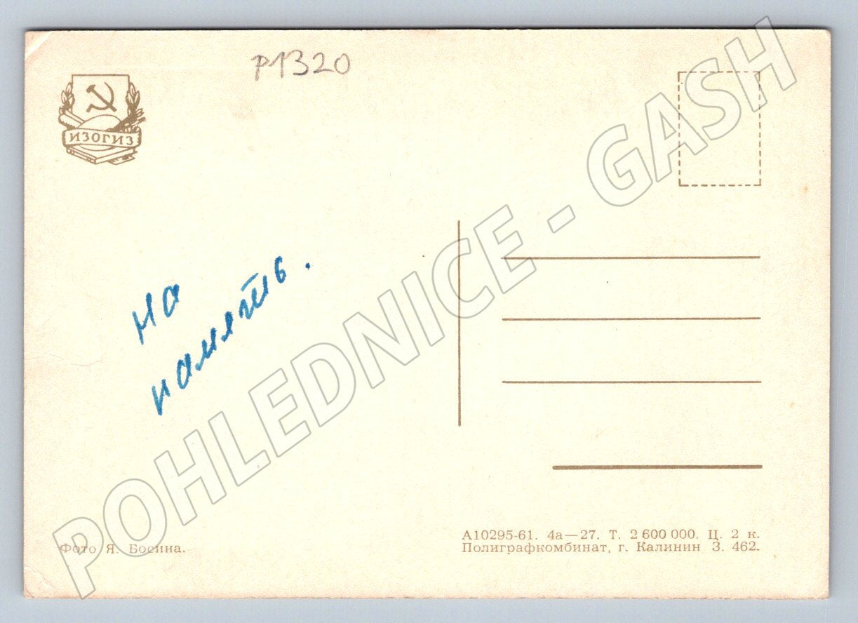 Pohlednice SSSR růže květinový motiv (P1320)