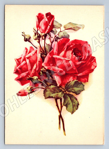 Pohlednice SSSR růže květinový motiv psaná 1959 (P1325)