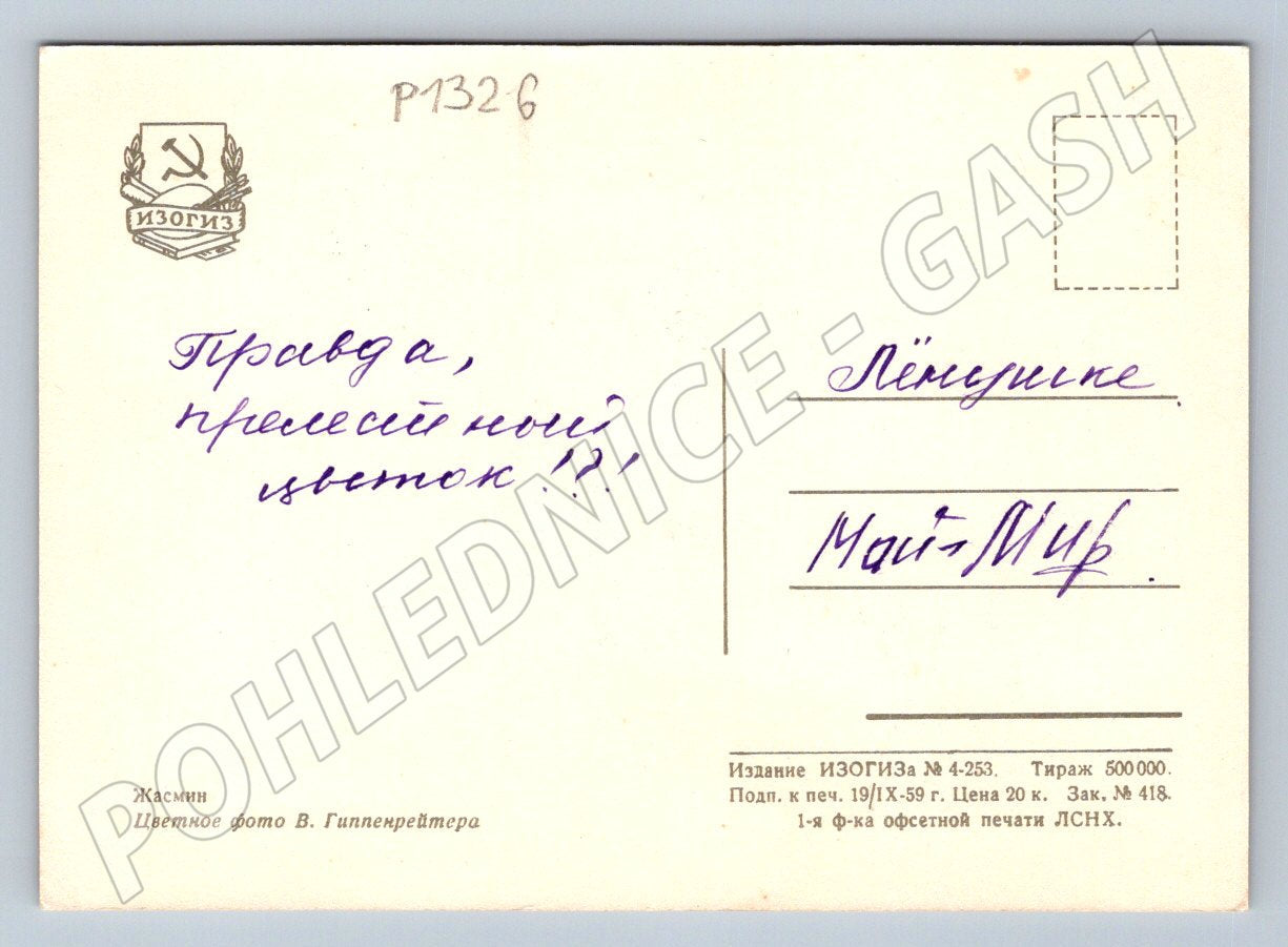 Pohlednice SSSR květy jasmínu fotografie V Gippenreiter 1959 (P1326)