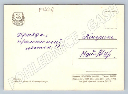 Pohlednice SSSR květy jasmínu fotografie V Gippenreiter 1959 (P1326)