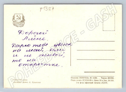 Pohlednice SSSR Čínská růže květiny 1959 (P1327)