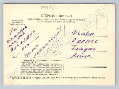 Pohlednice SSSR karafiáty Gvozdika Grenadin květiny psaná 1958 (P1335)