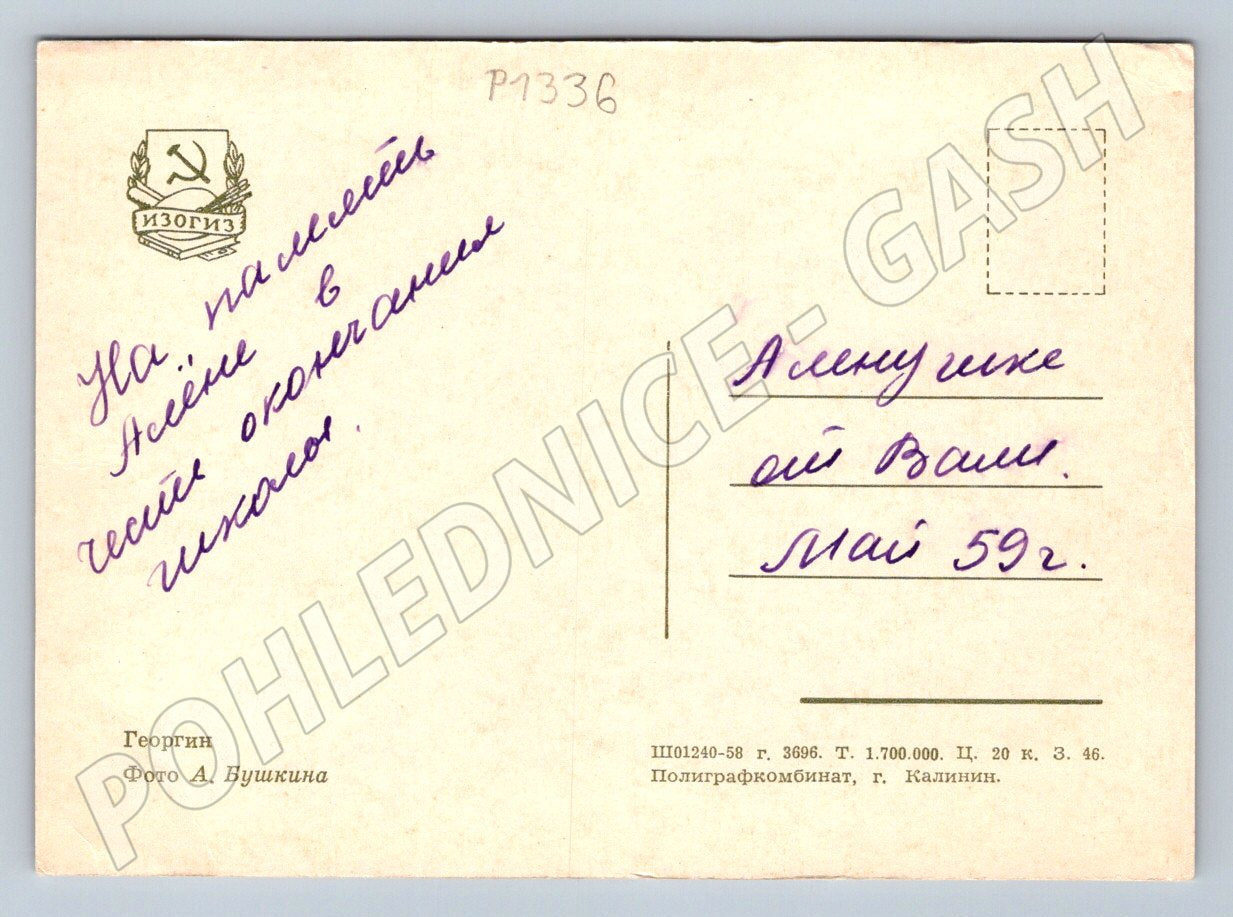 Pohlednice SSSR květiny jiřiny foto Buškin 1959 (P1336)