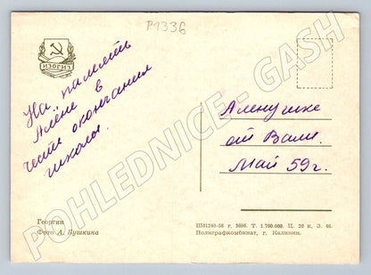 Pohlednice SSSR květiny jiřiny foto Buškin 1959 (P1336)