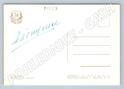 Pohlednice SSSR konvalinky ve váze B Muchin 1978 (P1337)