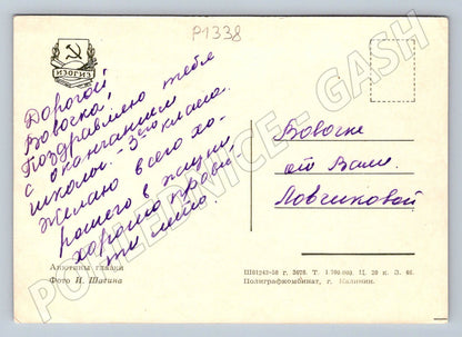 Pohlednice SSSR macešky ve váze ruční věnování (P1338)