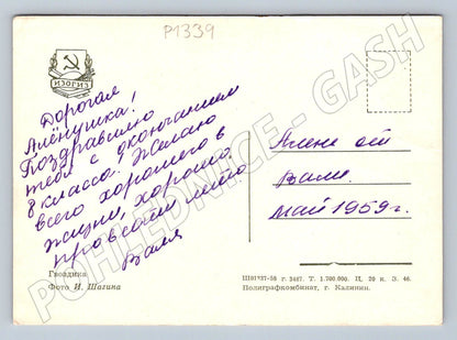 Pohlednice SSSR karafiáty psané přání 1959 (P1339)