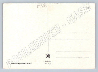 Pohlednice Ch Burešová Kytice ve džbánku malířství (P1340)