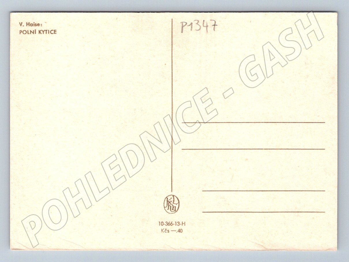Pohlednice V Haise Polní kytice malířství květiny (P1347)