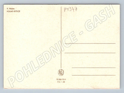 Pohlednice V Haise Polní kytice malířství květiny (P1347)