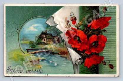 Pohlednice Slovinsko květiny a krajina zn Království SHS 1925 (P1376)