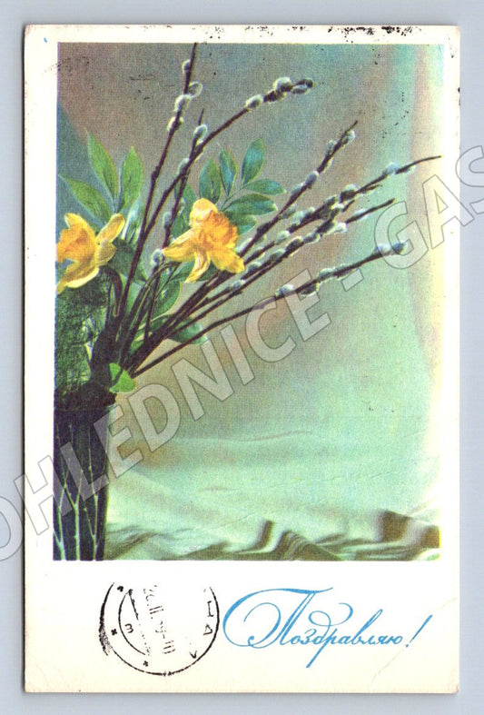Pohlednice SSSR květiny zn 1969 (P1397)